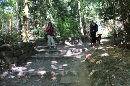 Steps and seating on stone wall – end of Bluff Trail – trailhead if arriving from Option 3